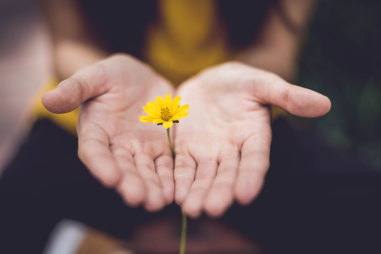 Read more about the article The Four Agreements: An Invitation to Live a Life of Happiness