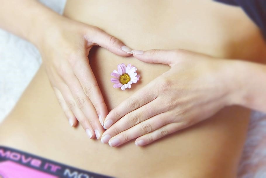 Read more about the article Digestion and Elimination: Learn How Our Bodies Work